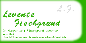 levente fischgrund business card